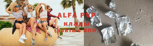 стафф Гусев