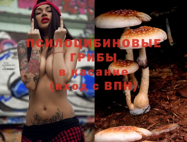 каннабис Гусь-Хрустальный