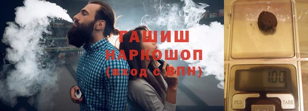 стафф Гусев