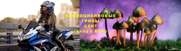 стафф Гусев