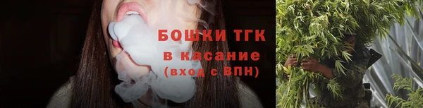 молекула духа Гусиноозёрск