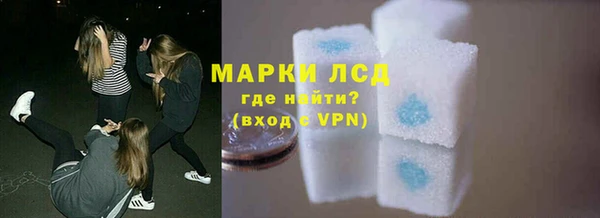 стафф Гусев