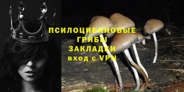 молекула духа Гусиноозёрск