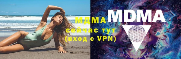 стафф Гусев
