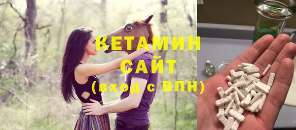 стафф Гусев