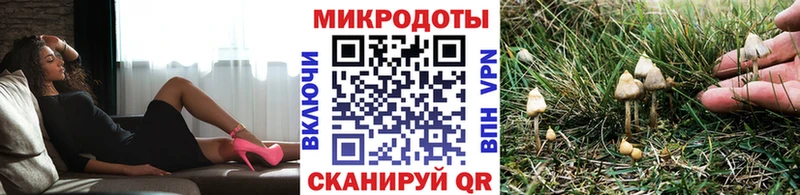 Псилоцибиновые грибы MAGIC MUSHROOMS Челябинск