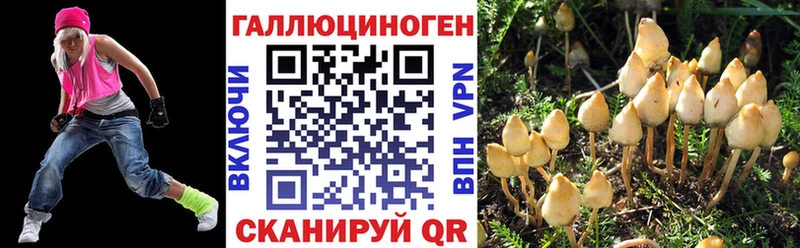 Купить закладки  Челябинск  Галлюциногенные грибы Magic Shrooms 